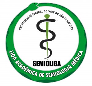 SEMIOLIGA Logo
