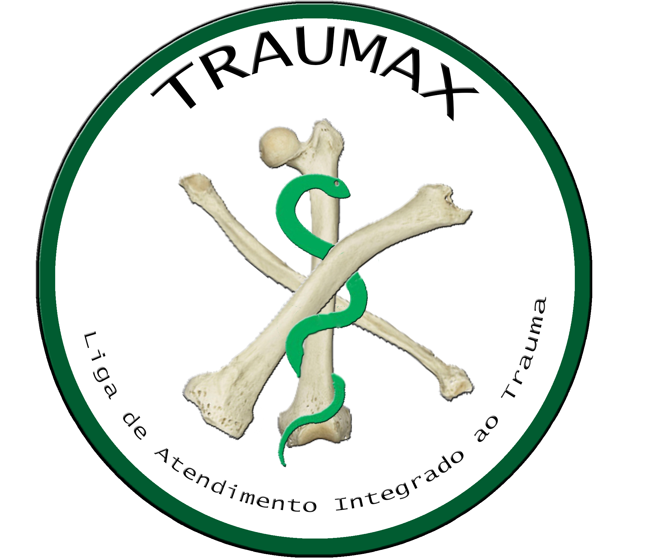 TRAUMAX – Liga de Atendimento Integrado ao Trauma